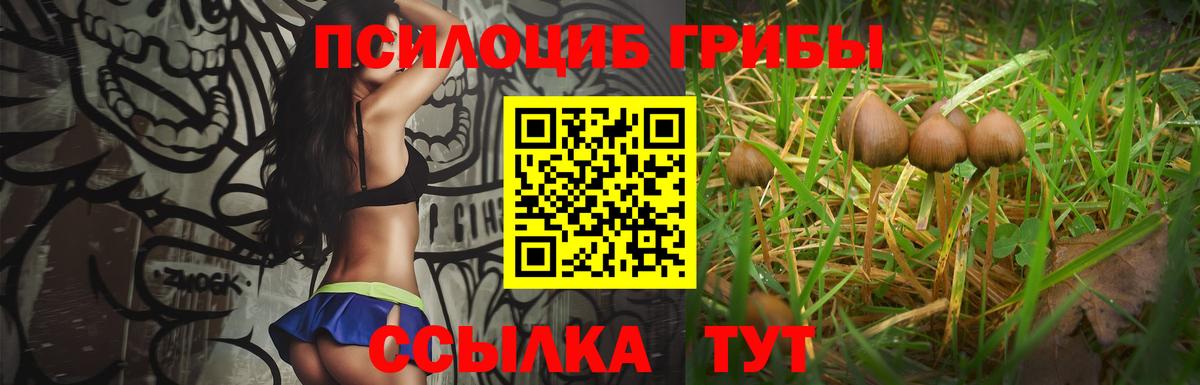 Галлюциногенные грибы GOLDEN TEACHER  Вход с VPN  Ирбит 